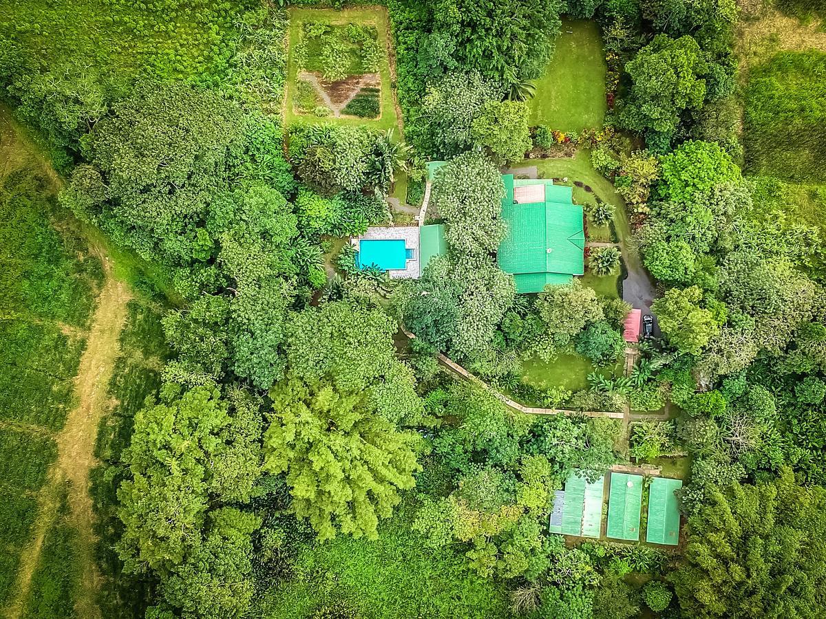 Tropical Paradise Bungalows Pital  Bagian luar foto